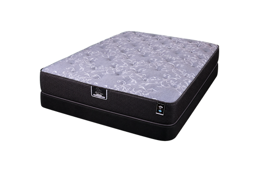 Back Master mattress — Northern Lights Mattress Company